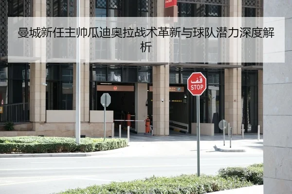 曼城新任主帅瓜迪奥拉战术革新与球队潜力深度解析